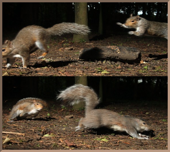 Archived & Images of the Day